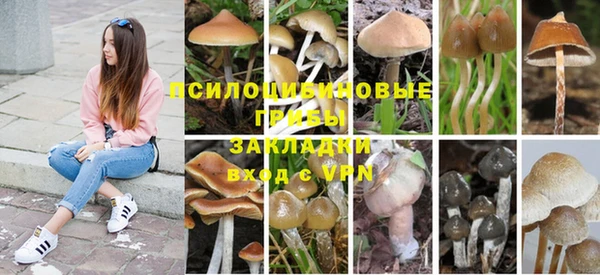 спиды Володарск