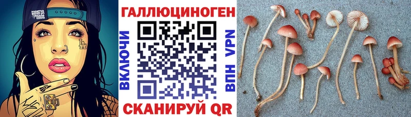 купить   OMG ссылка  Галлюциногенные грибы мицелий  Вязники 